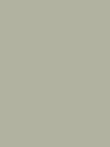 John Lewis William Morris At Home House Sparrow Matt Emulsion Paint 2.5L- Buy online at McGrocer