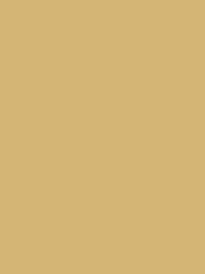 John Lewis William Morris At Home Lawn Daisy Matt Emulsion Paint 2.5L- Buy online at McGrocer