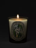 Diptyque Pinède candle 190g, imported from the UK