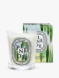 Diptyque Pinède candle 190g, imported from the UK