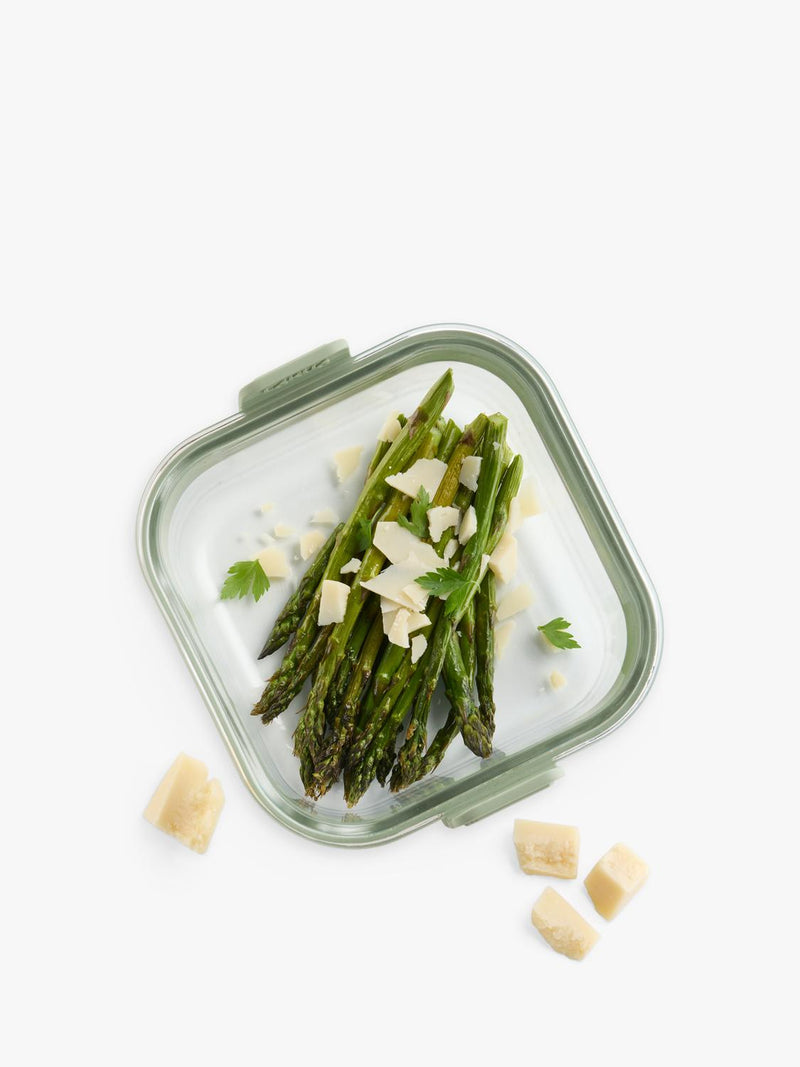 Lékué air fryer square glass dish clear green (British brand)