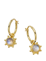 John Lewis Daisy London Moonstone Drop Earrings Gold- Buy online at McGrocer