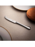 Robert Welch Radford Bright stainless steel cheese knife (British brand)