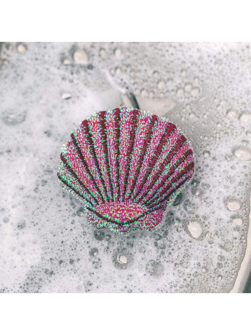Kikkerland seashell scrub sponge pack of 2 - British product
