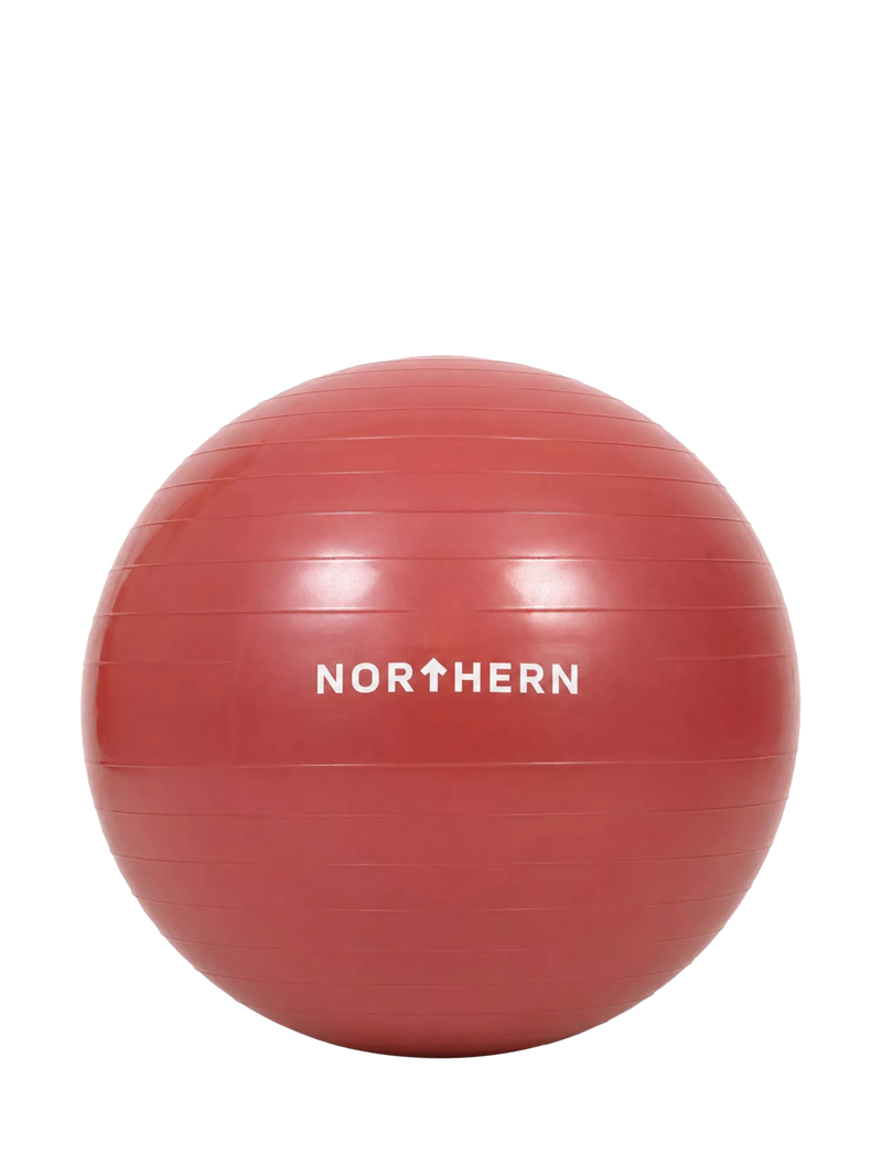 Northern Gym Equipment anti-burst Swiss ball for core training, imported from the UK