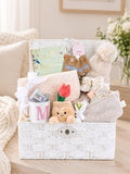 Bumbles & Boo newborn gift hamper with soft toy and blanket (British brand)