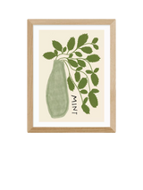 John Lewis EAST END PRINTS Amber May Art Mint Plant Framed Print Natural 43.4 x 33.4cm- Buy online at McGrocer