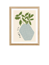 John Lewis EAST END PRINTS Amber May Art 'Parsley Plant' Framed Print, 43.4 x 33.4cm- Buy online at McGrocer