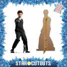 Star Cutouts Harry Potter Hogwarts cardboard cutout 160x74x15cm (British brand)