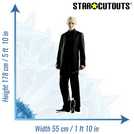 Star Cutouts Draco Malfoy lifesize cardboard cutout (British brand)