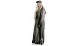 Argos Harry Potter Dumbledore Life-Size Cardboard Cutout for Party Decor- Buy online at McGrocer