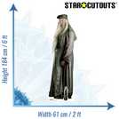 Harry Potter Dumbledore life-size cardboard cutout for decorations (British brand)