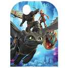 Dreamworks Dragon Cardboard Cutout 130x94x15cm (British brand)