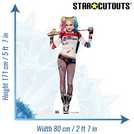 DC Comics Harley Quinn lifesize cardboard cutout, UK version