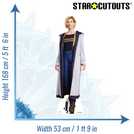 Star Cutouts Doctor Who Jodie Whittaker cardboard cutout 168cm x 53cm x 15cm (British brand)