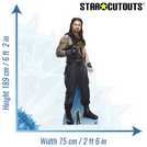 WWE Roman Reigns cardboard cutout role-play decoration (British brand)