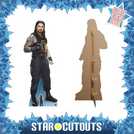 WWE Roman Reigns cardboard cutout role-play decoration (British brand)