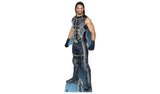 Argos Star Cutouts WWE Seth Rollins Life-Size Cardboard Cutout 186x64x15cm- Buy online at McGrocer