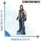 Star Cutouts WWE Seth Rollins life-size cardboard cutout (British brand)