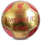 Hy-Pro Liverpool FC Signature football size 5, UK version