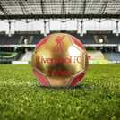 Hy-Pro Liverpool FC Signature football size 5, UK version