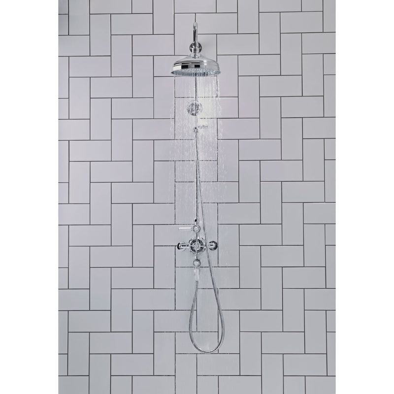 Tavistock Highbury two function exposed shower (British brand)