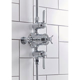 Tavistock Highbury two function exposed shower (British brand)