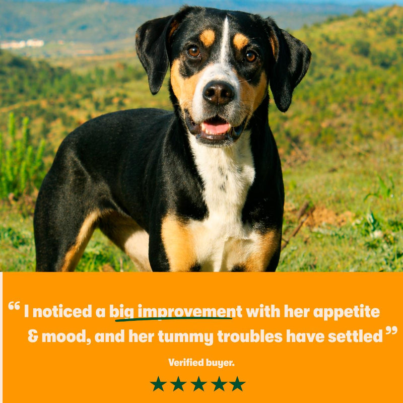 Harringtons dry dog food turkey and veg 1.7kg, imported from the UK