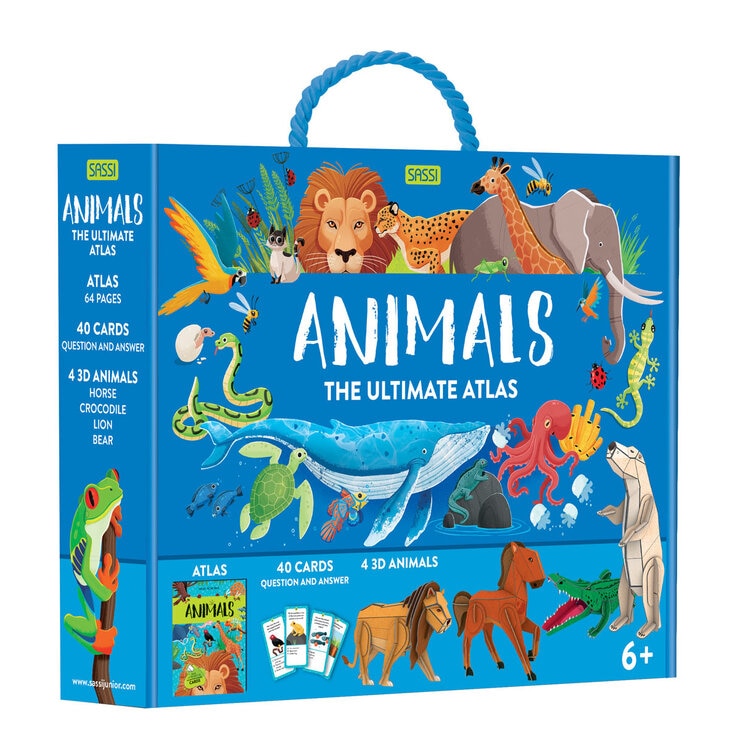 Children's interactive atlas set with 40 cards and 4 models, imported from the UK