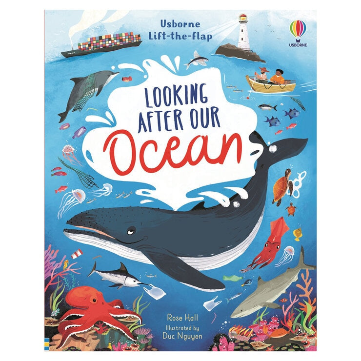Lift the flap children's book set 6+ years (British brand)