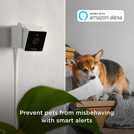 Petcube pet monitoring camera, imported from the UK