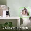 Petcube pet monitoring camera, imported from the UK