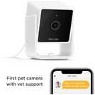 Petcube pet monitoring camera, imported from the UK