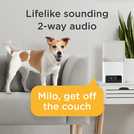 Petcube Bites 2 Lite smart pet camera, imported from the UK
