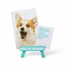 What Do You Meme? Family Edition card game (British brand)