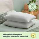 Silentnight Anti-Allergy Medium Soft Pillow 2 Pack (British brand)