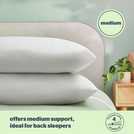 Silentnight Anti-Allergy Medium Soft Pillow 2 Pack (British brand)