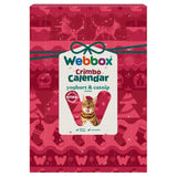 Webbox Festive Cat Premium Advent Calendar