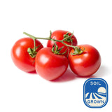 Natoora Sicilian Vine Ripened Tomatoes 350g