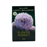 M&S Allium Lucky Balloons