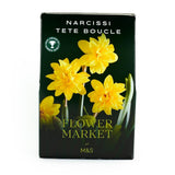 M&S 12 Narcissi Tete Boucle