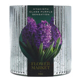 M&S Hyacinth Glass - Purple Sensation