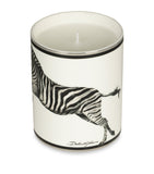 Dolce&Gabbana Lychee and Mulberry Candle 340g - British product