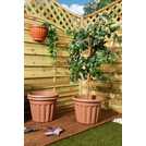 Wham plastic planter terracotta 40cm, imported from the UK