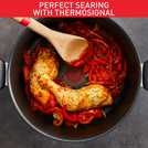 Tefal Titanium Excellence 24cm non-stick stewpot (British brand)