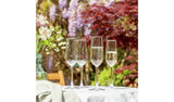 Argos Plastic Prosecco Glasses Pack of 4- Buy online at McGrocer