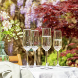 Plastic prosecco glasses pack of 4, imported from the UK