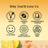 Twinings Lemon & Ginger Tea 20 per pack GOODS M&S