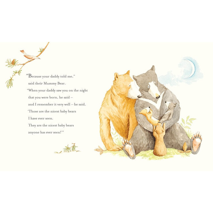 Best of Bears 10 book collection, imported from the UK