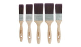 Argos Coral Aspire Paint Brush Set of 5- Buy online at McGrocer